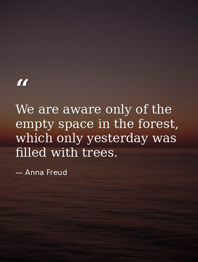 We are aware only of the empty space in the forest, which only yesterday was filled with trees. — Anna Freud