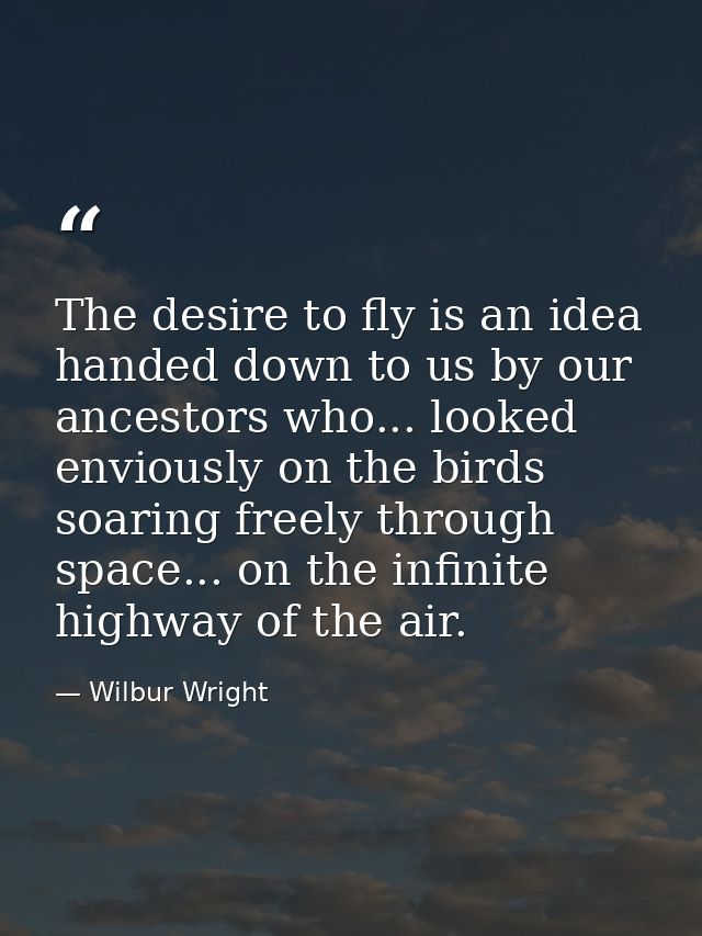 The desire to fly is an idea handed down to us by our ancestors who... looked enviously on the birds soaring freely thro — Wilbur Wright