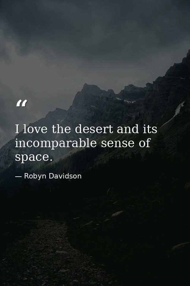I love the desert and its incomparable sense of space. — Robyn Davidson
