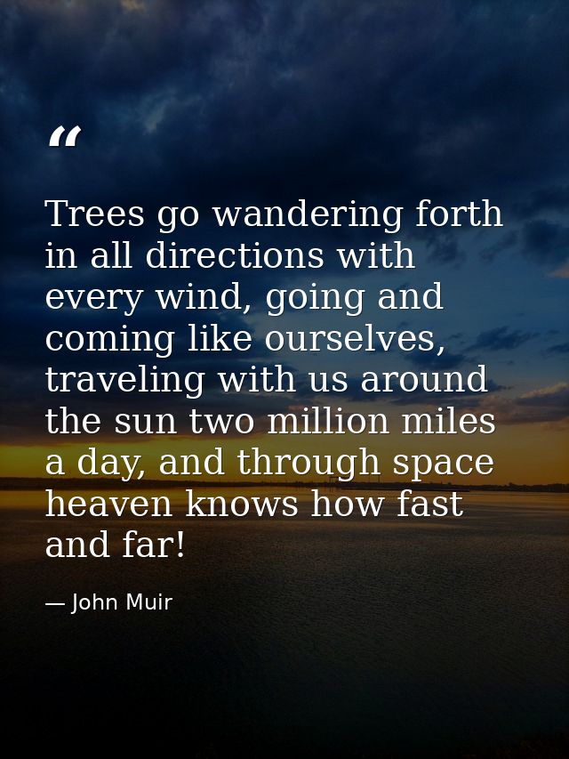 Trees go wandering forth in all directions with every wind, going and coming like ourselves, traveling with us around th — John Muir