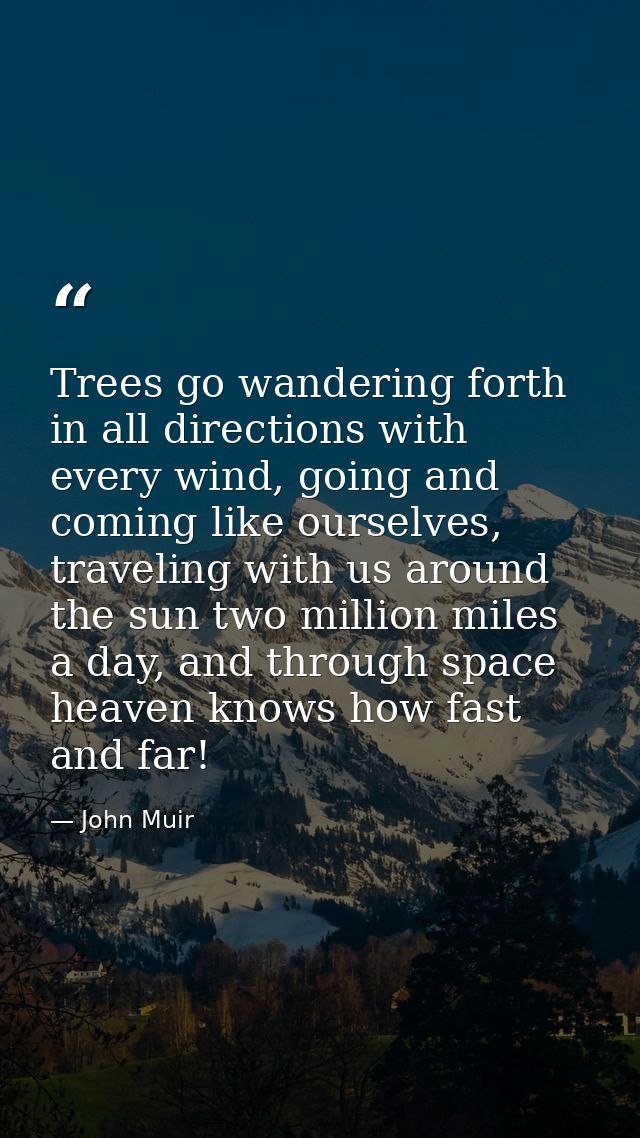 Trees go wandering forth in all directions with every wind, going and coming like ourselves, traveling with us around th — John Muir
