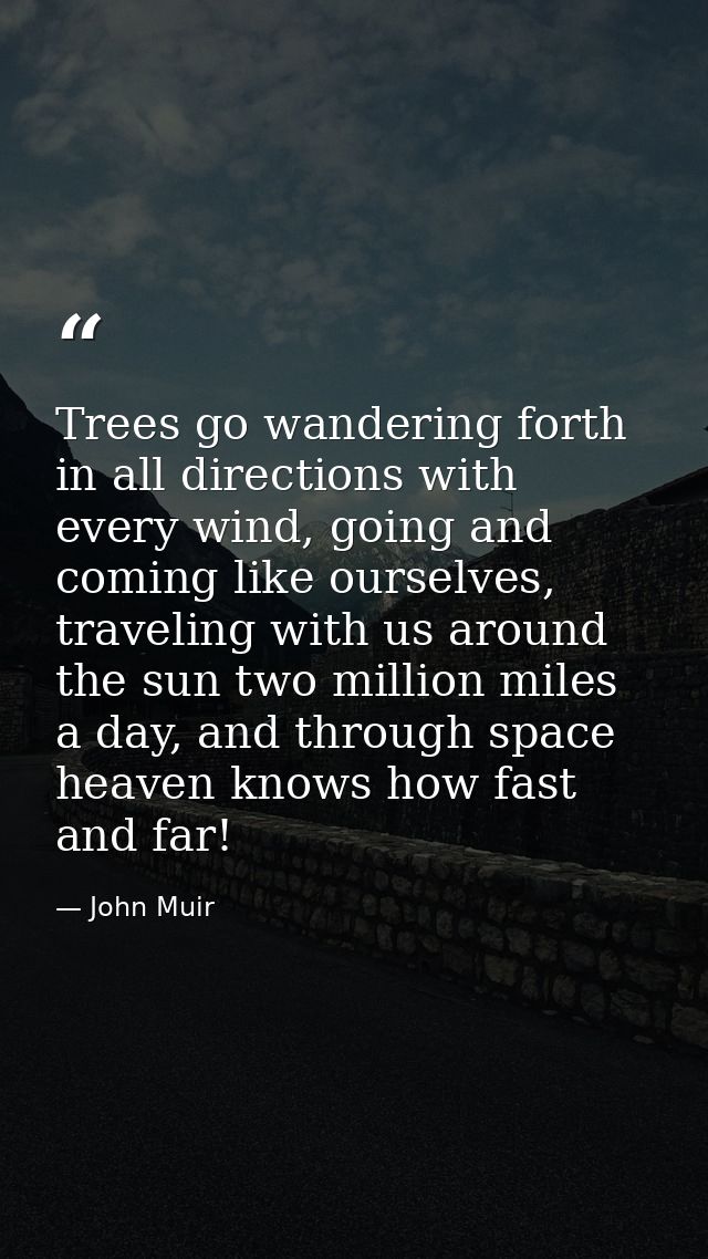 Trees go wandering forth in all directions with every wind, going and coming like ourselves, traveling with us around th — John Muir