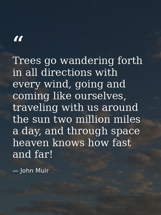 Trees go wandering forth in all directions with every wind, going and coming like ourselves, traveling with us around th — John Muir