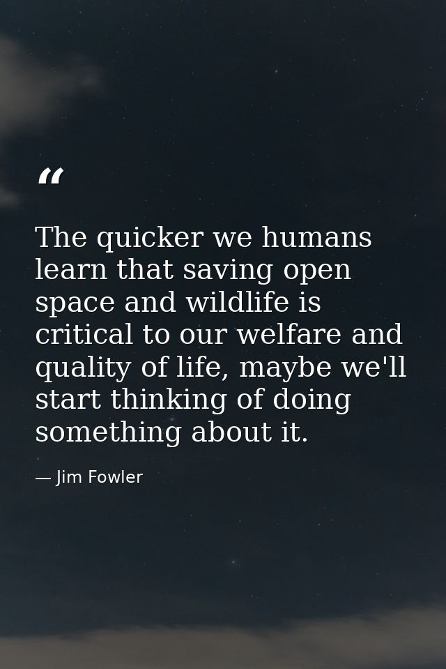 The quicker we humans learn that saving open space and wildlife is critical to our welfare and quality of life, maybe we — Jim Fowler
