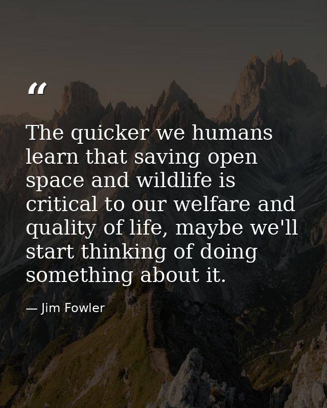 The quicker we humans learn that saving open space and wildlife is critical to our welfare and quality of life, maybe we — Jim Fowler