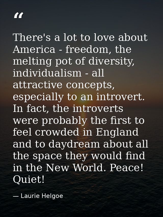 There's a lot to love about America - freedom, the melting pot of diversity, individualism - all attractive concepts, es — Laurie Helgoe