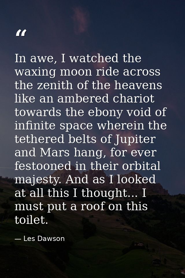 In awe, I watched the waxing moon ride across the zenith of the heavens like an ambered chariot towards the ebony void o — Les Dawson