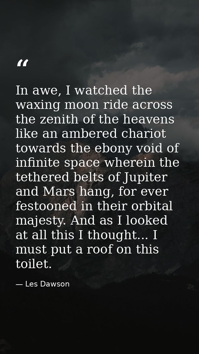 In awe, I watched the waxing moon ride across the zenith of the heavens like an ambered chariot towards the ebony void o — Les Dawson