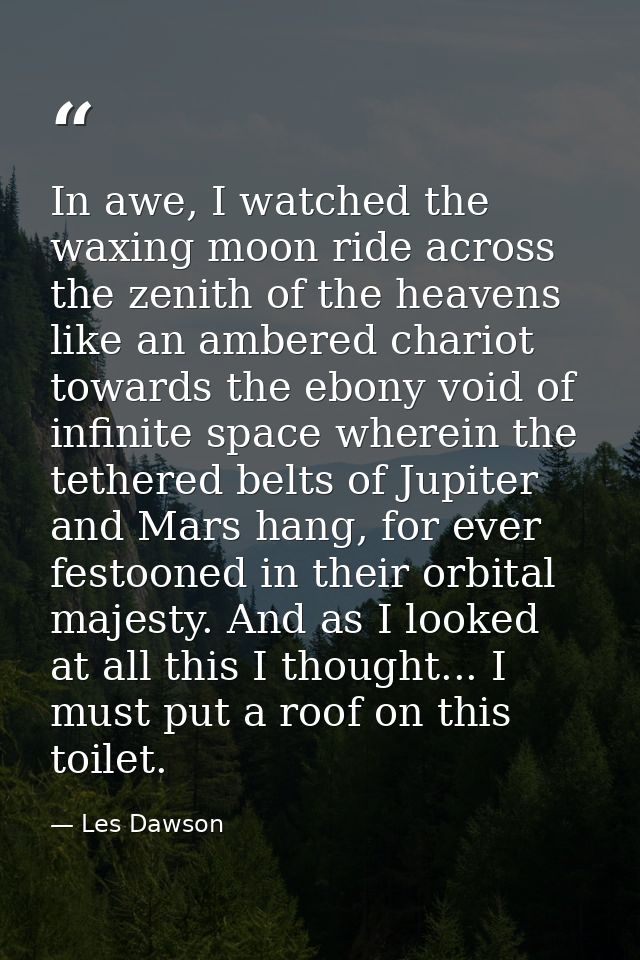 In awe, I watched the waxing moon ride across the zenith of the heavens like an ambered chariot towards the ebony void o — Les Dawson