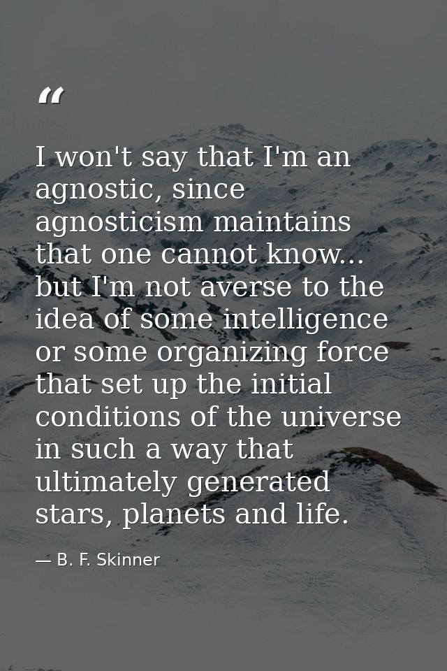 I won't say that I'm an agnostic, since agnosticism maintains that one cannot know... but I'm not averse to the idea of  — B. F. Skinner