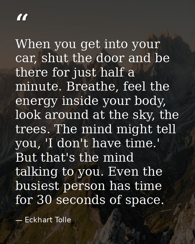 When you get into your car, shut the door and be there for just half a minute. Breathe, feel the energy inside your body — Eckhart Tolle