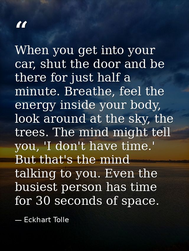 When you get into your car, shut the door and be there for just half a minute. Breathe, feel the energy inside your body — Eckhart Tolle