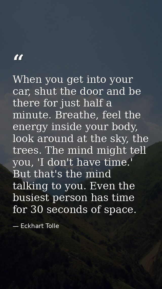 When you get into your car, shut the door and be there for just half a minute. Breathe, feel the energy inside your body — Eckhart Tolle