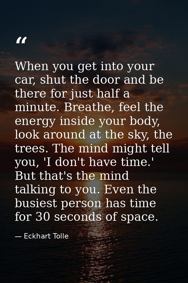 When you get into your car, shut the door and be there for just half a minute. Breathe, feel the energy inside your body — Eckhart Tolle