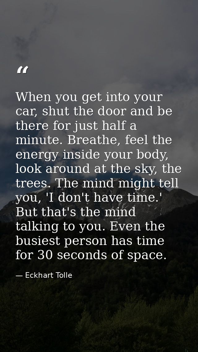 When you get into your car, shut the door and be there for just half a minute. Breathe, feel the energy inside your body — Eckhart Tolle