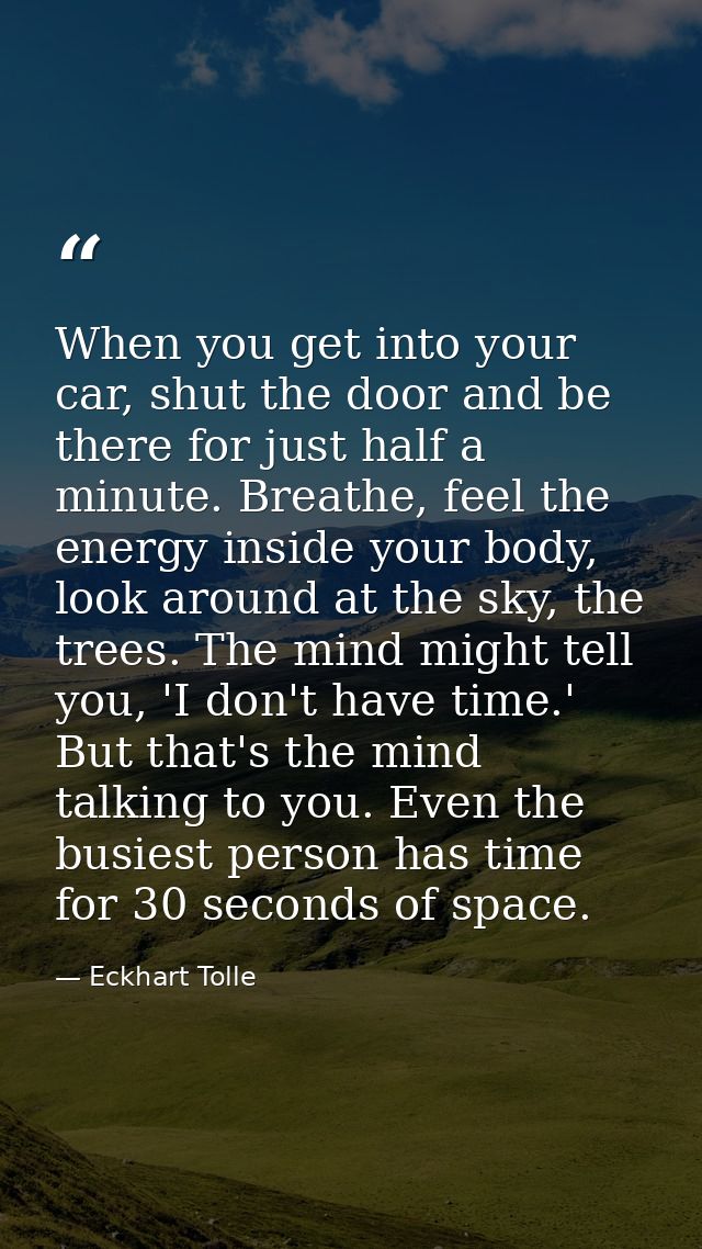 When you get into your car, shut the door and be there for just half a minute. Breathe, feel the energy inside your body — Eckhart Tolle