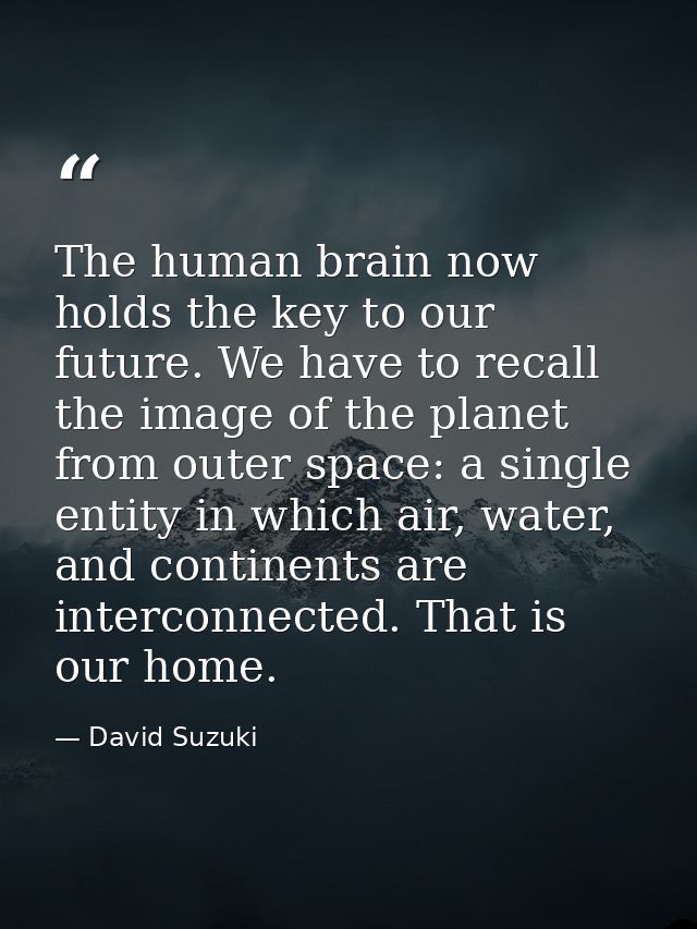 The human brain now holds the key to our future. We have to recall the image of the planet from outer space: a single en — David Suzuki