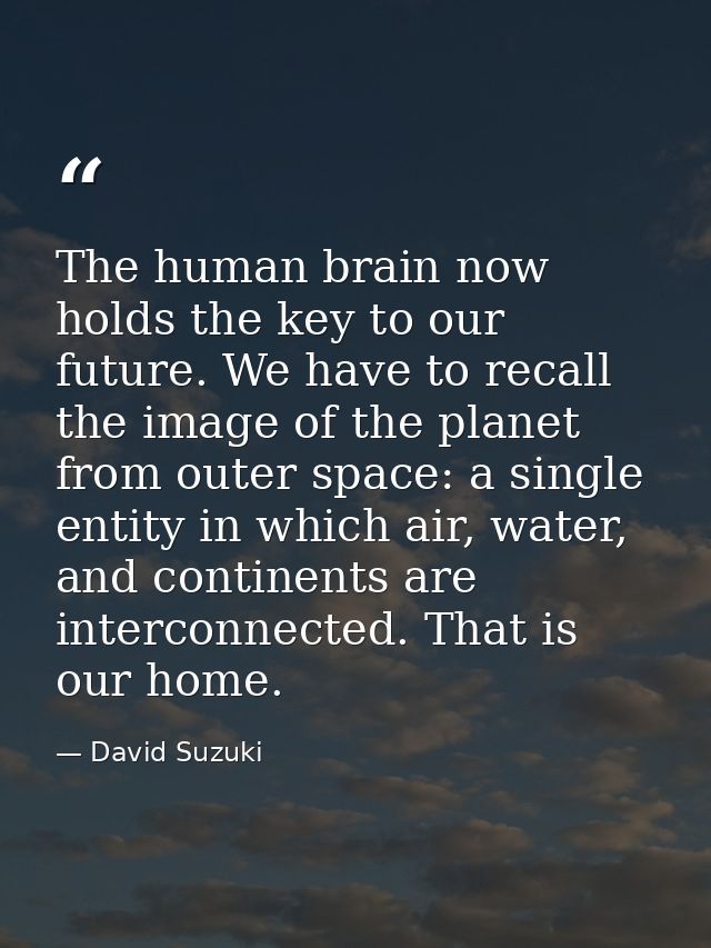 The human brain now holds the key to our future. We have to recall the image of the planet from outer space: a single en — David Suzuki