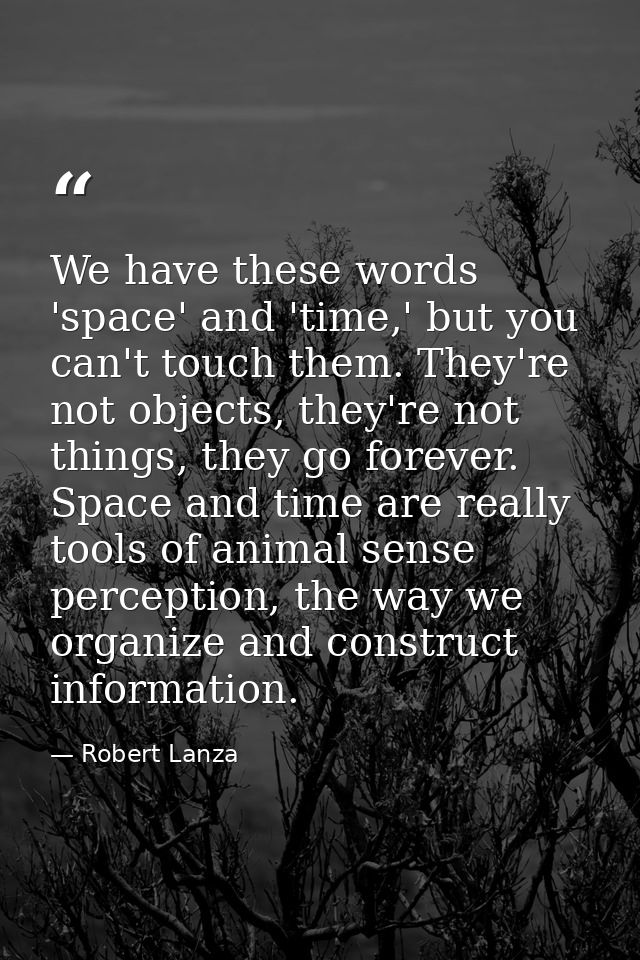 We have these words 'space' and 'time,' but you can't touch them. They're not objects, they're not things, they go forev — Robert Lanza