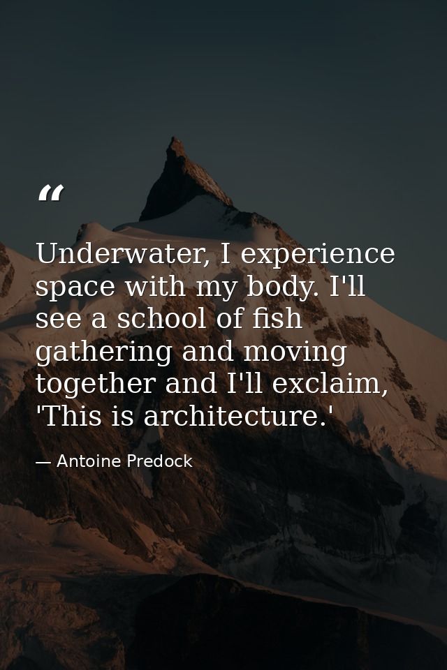 Underwater, I experience space with my body. I'll see a school of fish gathering and moving together and I'll exclaim, ' — Antoine Predock