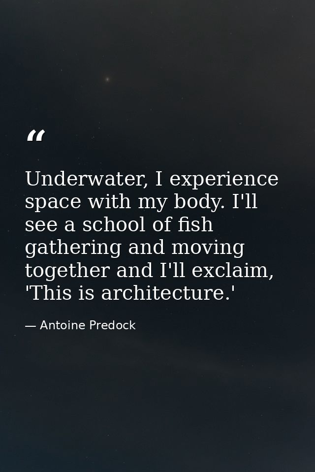 Underwater, I experience space with my body. I'll see a school of fish gathering and moving together and I'll exclaim, ' — Antoine Predock