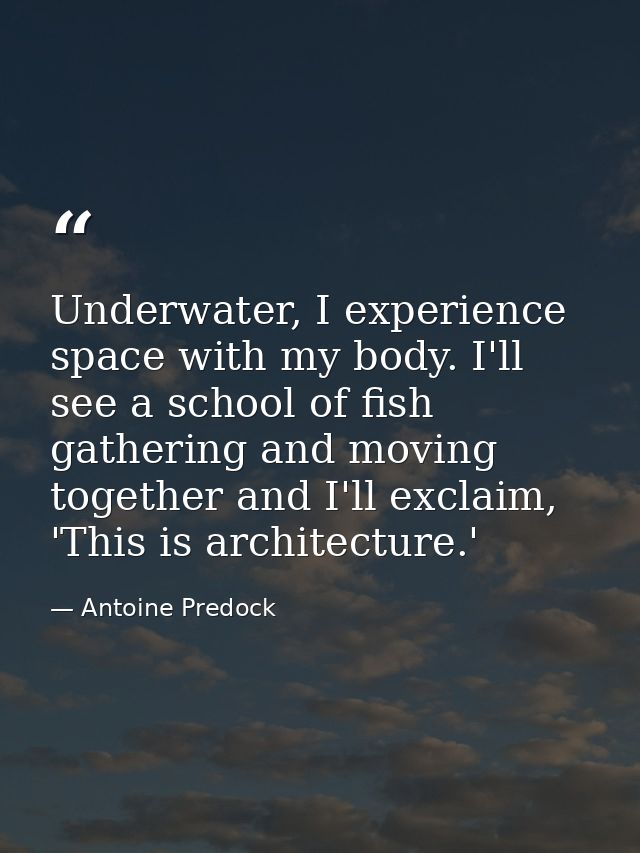 Underwater, I experience space with my body. I'll see a school of fish gathering and moving together and I'll exclaim, ' — Antoine Predock