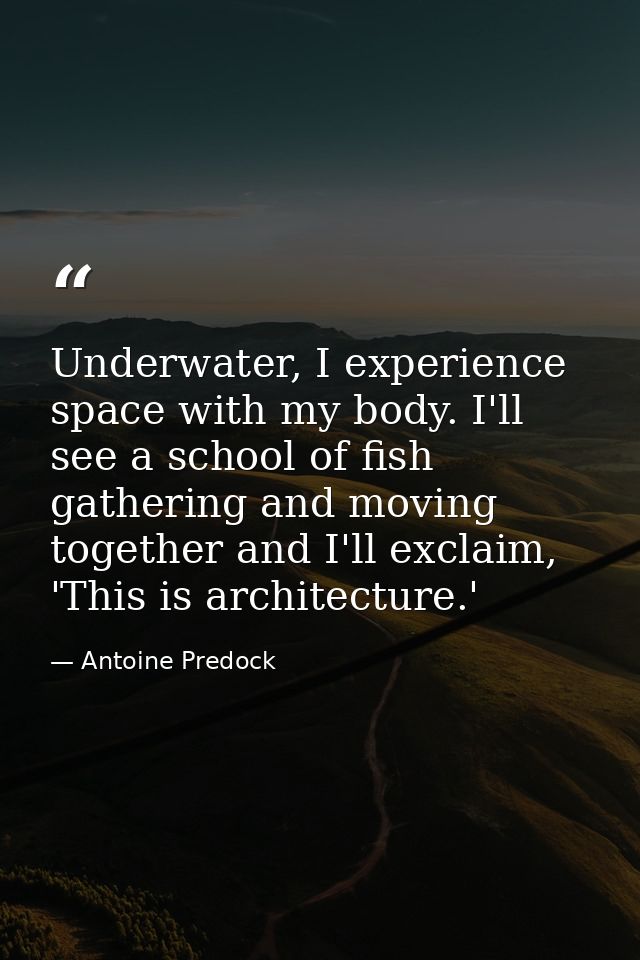 Underwater, I experience space with my body. I'll see a school of fish gathering and moving together and I'll exclaim, ' — Antoine Predock