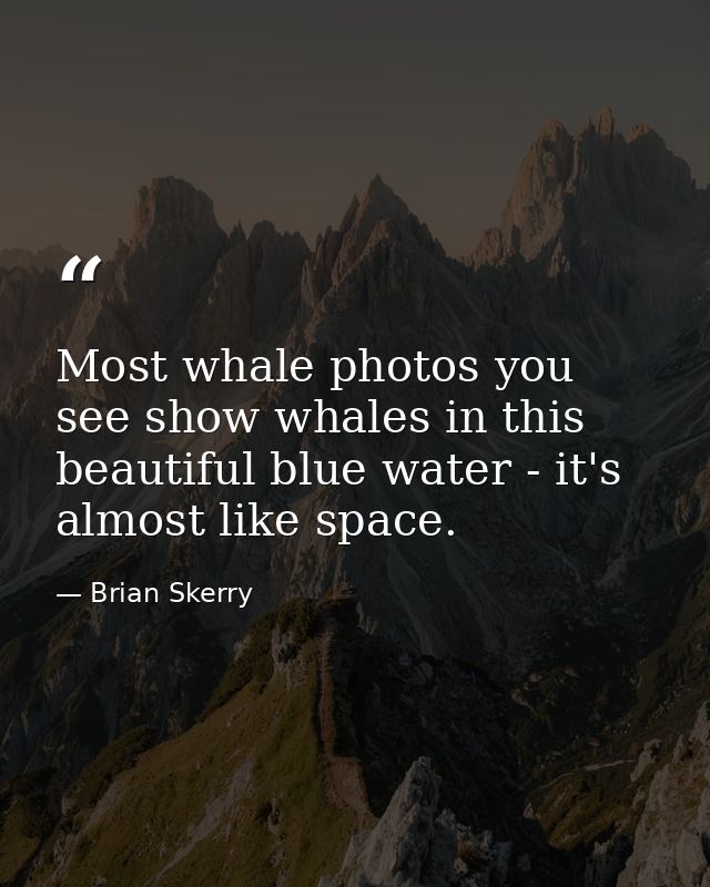 Most whale photos you see show whales in this beautiful blue water - it's almost like space. — Brian Skerry