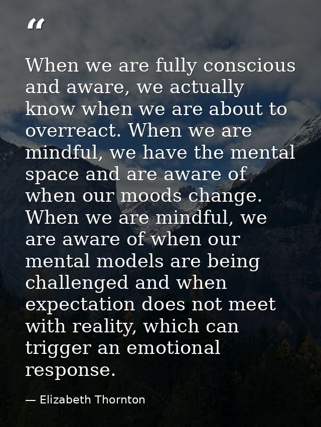When we are fully conscious and aware, we actually know when we are about to overreact. When we are mindful, we have the — Elizabeth Thornton