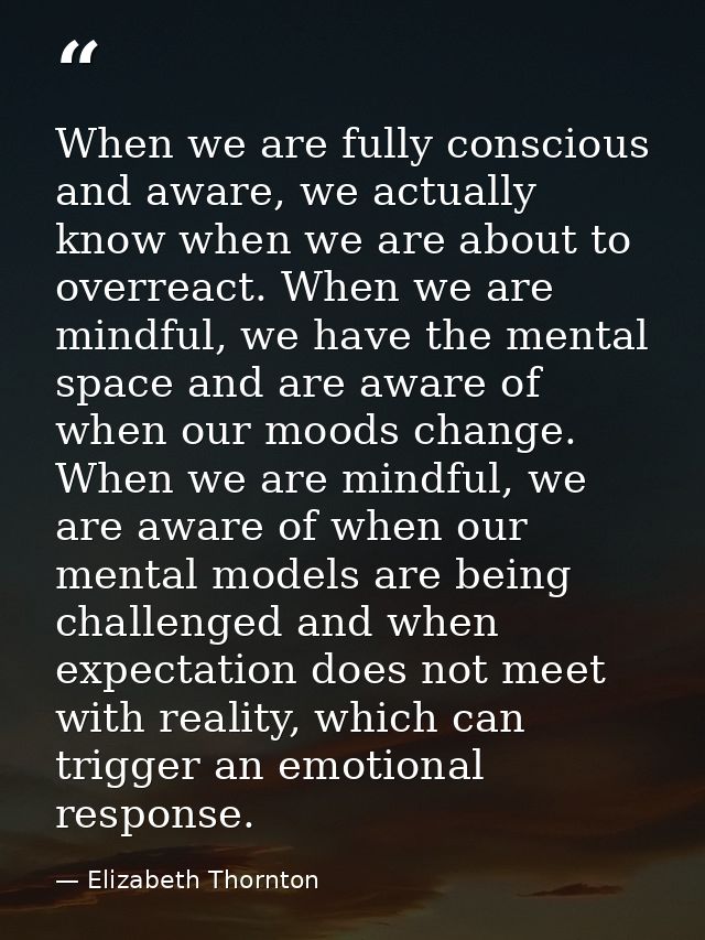 When we are fully conscious and aware, we actually know when we are about to overreact. When we are mindful, we have the — Elizabeth Thornton