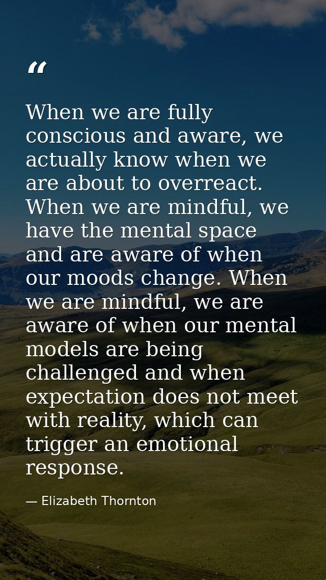 When we are fully conscious and aware, we actually know when we are about to overreact. When we are mindful, we have the — Elizabeth Thornton