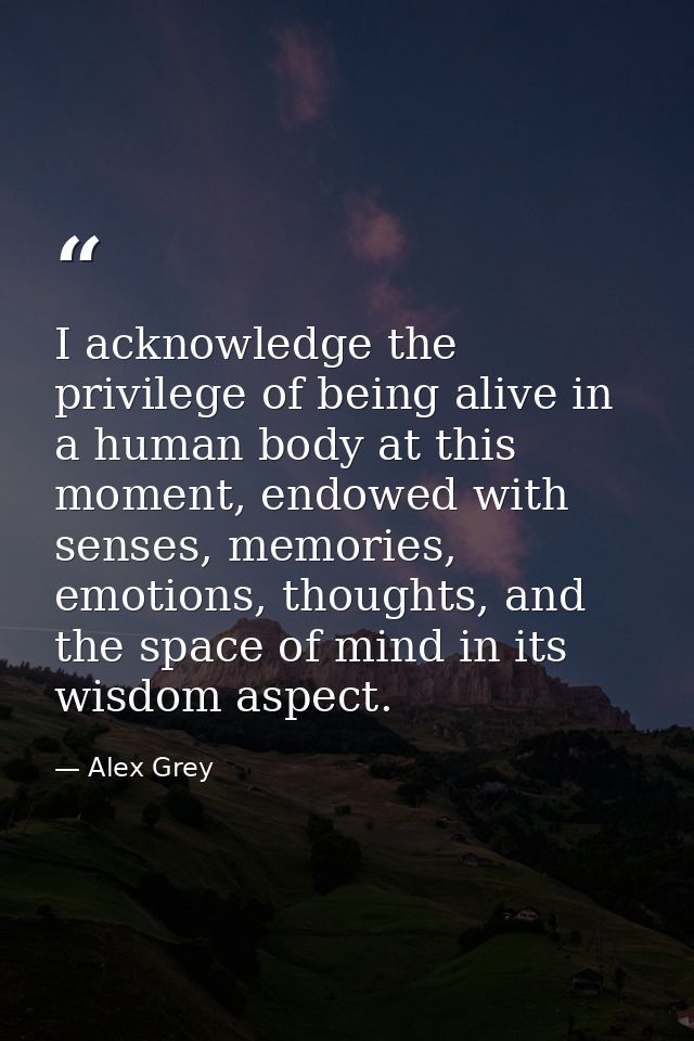 I acknowledge the privilege of being alive in a human body at this moment, endowed with senses, memories, emotions, thou — Alex Grey