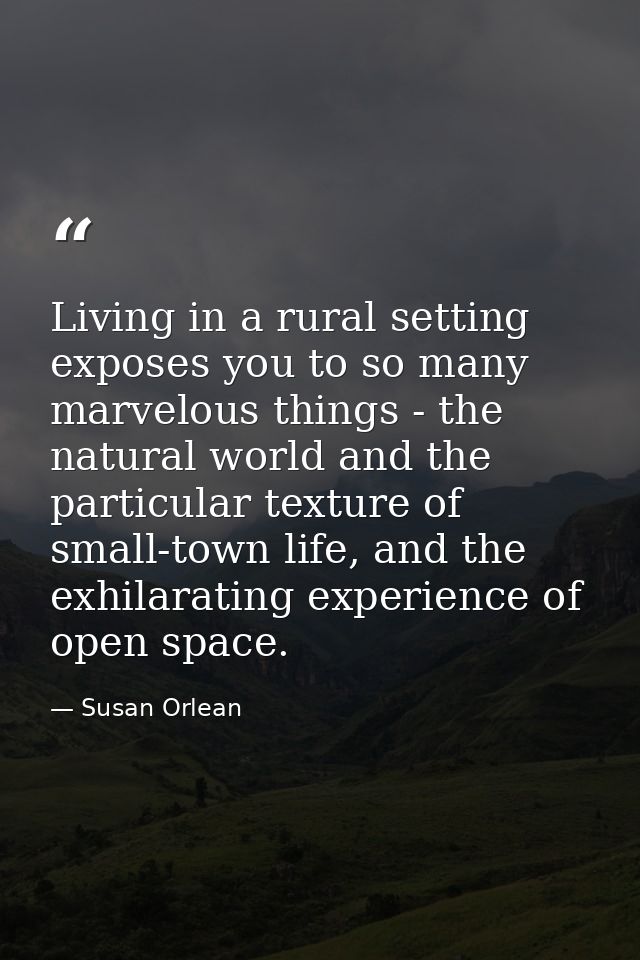 Living in a rural setting exposes you to so many marvelous things - the natural world and the particular texture of smal — Susan Orlean