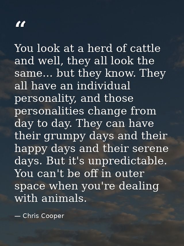 You look at a herd of cattle and well, they all look the same... but they know. They all have an individual personality, — Chris Cooper