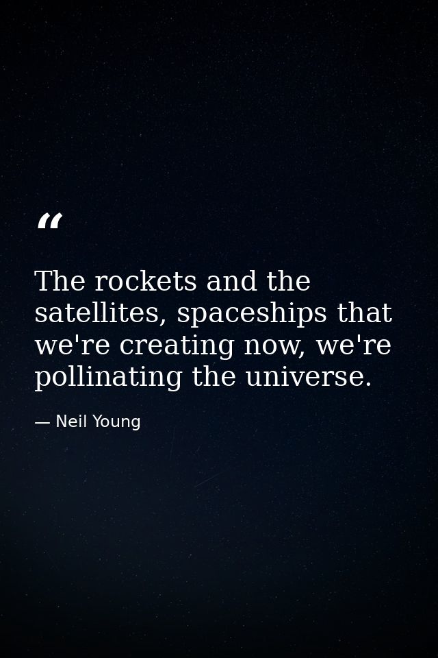 The rockets and the satellites, spaceships that we're creating now, we're pollinating the universe. — Neil Young