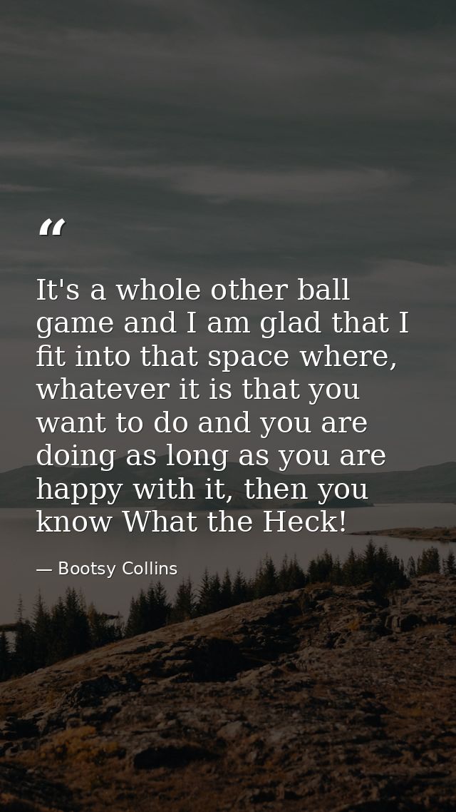 It's a whole other ball game and I am glad that I fit into that space where, whatever it is that you want to do and you  — Bootsy Collins