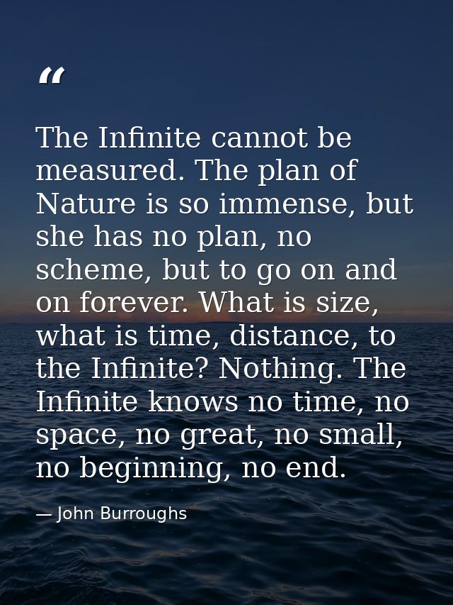 The Infinite cannot be measured. The plan of Nature is so immense, but she has no plan, no scheme, but to go on and on f — John Burroughs