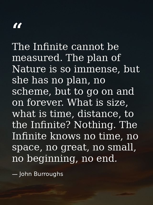 The Infinite cannot be measured. The plan of Nature is so immense, but she has no plan, no scheme, but to go on and on f — John Burroughs