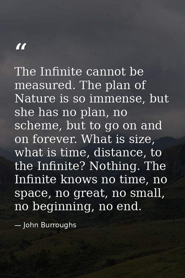 The Infinite cannot be measured. The plan of Nature is so immense, but she has no plan, no scheme, but to go on and on f — John Burroughs
