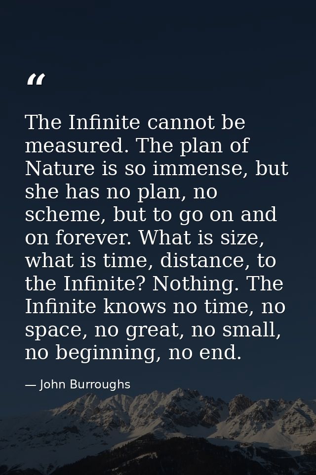 The Infinite cannot be measured. The plan of Nature is so immense, but she has no plan, no scheme, but to go on and on f — John Burroughs