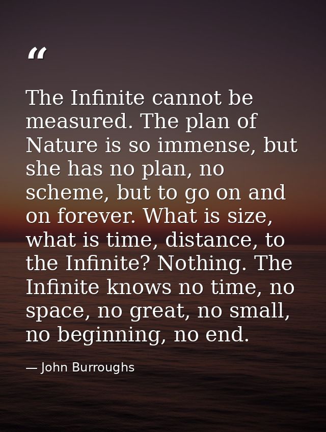 The Infinite cannot be measured. The plan of Nature is so immense, but she has no plan, no scheme, but to go on and on f — John Burroughs
