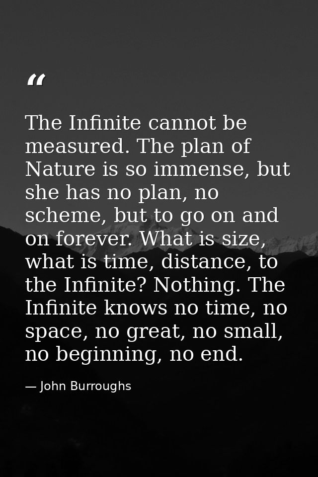 The Infinite cannot be measured. The plan of Nature is so immense, but she has no plan, no scheme, but to go on and on f — John Burroughs