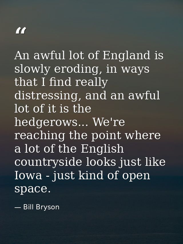 An awful lot of England is slowly eroding, in ways that I find really distressing, and an awful lot of it is the hedgero — Bill Bryson