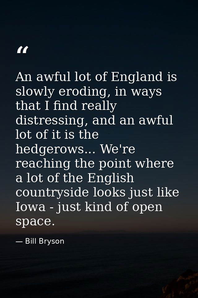 An awful lot of England is slowly eroding, in ways that I find really distressing, and an awful lot of it is the hedgero — Bill Bryson