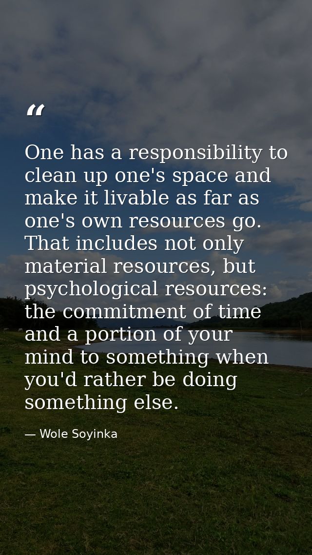One has a responsibility to clean up one's space and make it livable as far as one's own resources go. That includes not — Wole Soyinka
