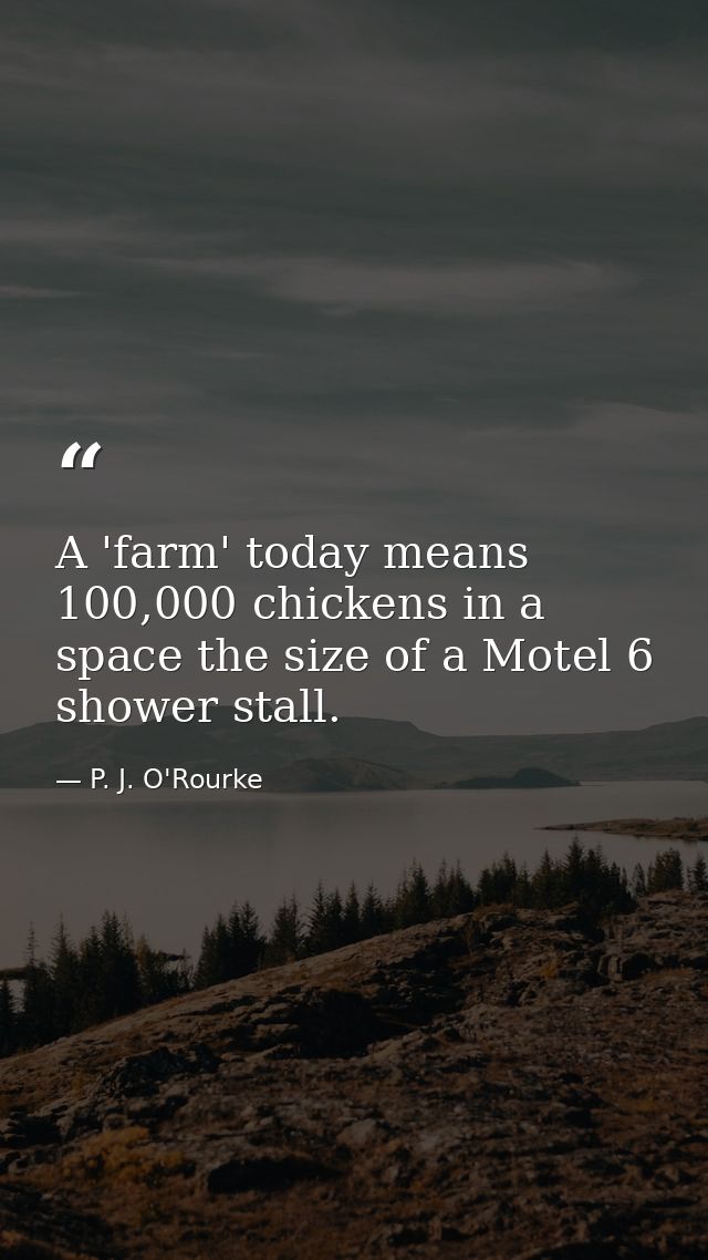 A 'farm' today means 100,000 chickens in a space the size of a Motel 6 shower stall. — P. J. O'Rourke