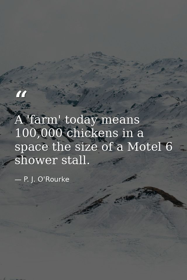 A 'farm' today means 100,000 chickens in a space the size of a Motel 6 shower stall. — P. J. O'Rourke