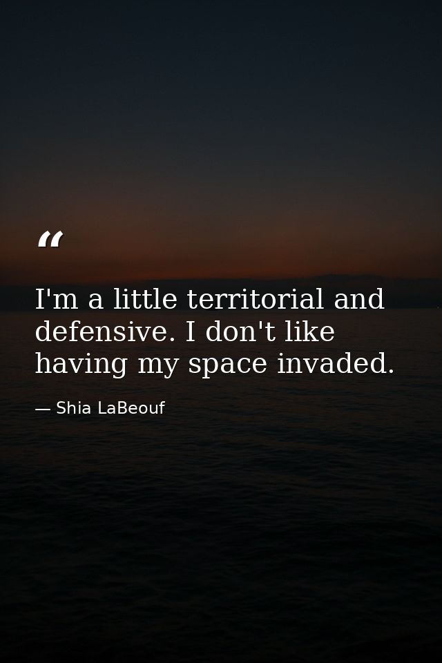 I'm a little territorial and defensive. I don't like having my space invaded. — Shia LaBeouf