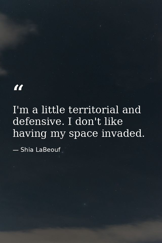 I'm a little territorial and defensive. I don't like having my space invaded. — Shia LaBeouf