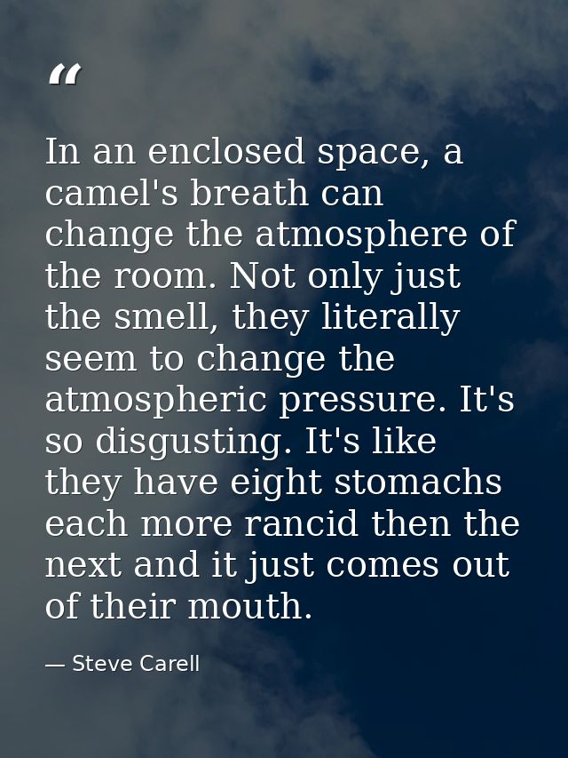 In an enclosed space, a camel's breath can change the atmosphere of the room. Not only just the smell, they literally se — Steve Carell